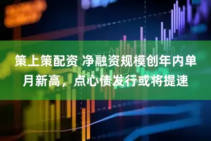 策上策配资 净融资规模创年内单月新高，点心债发行或将提速
